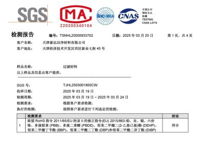 ROSH十项检测报告